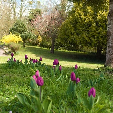 Chalet Des Sept Pins Villa Marles-sur-Canche Bagian luar foto