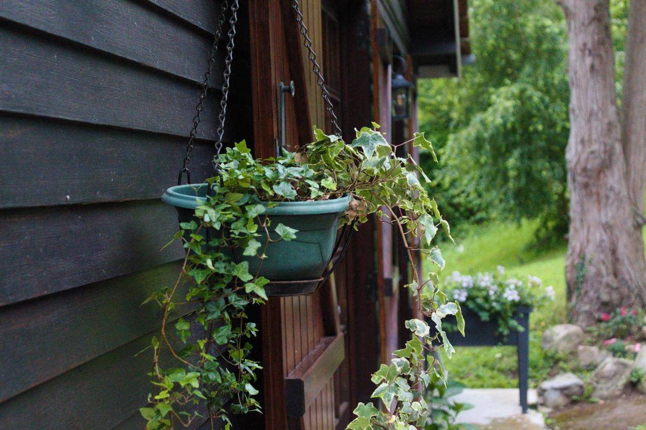 Chalet Des Sept Pins Villa Marles-sur-Canche Bagian luar foto